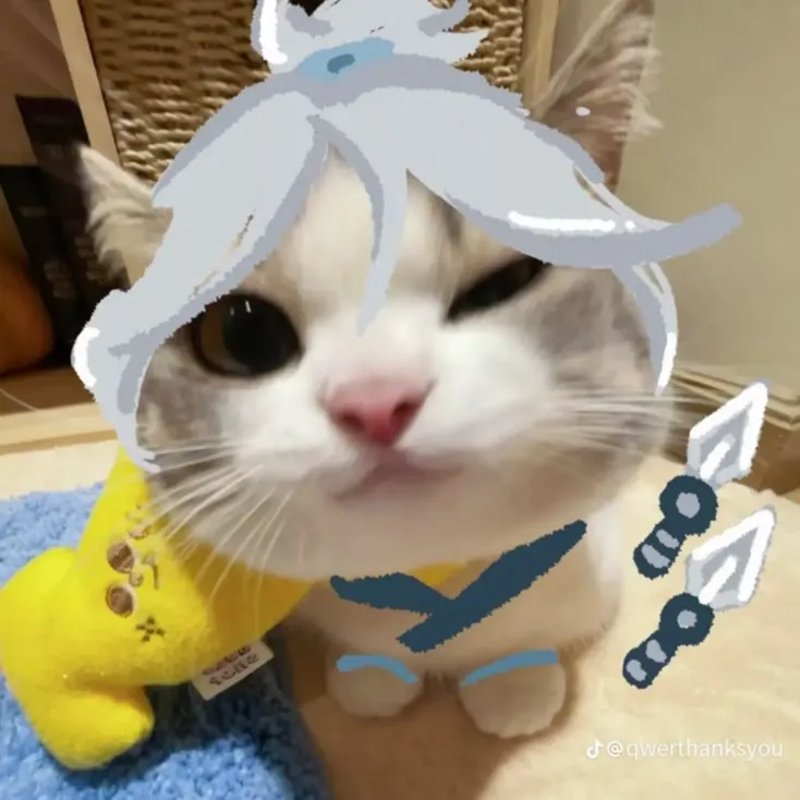 Discord: Duesenjett (duesenjett)